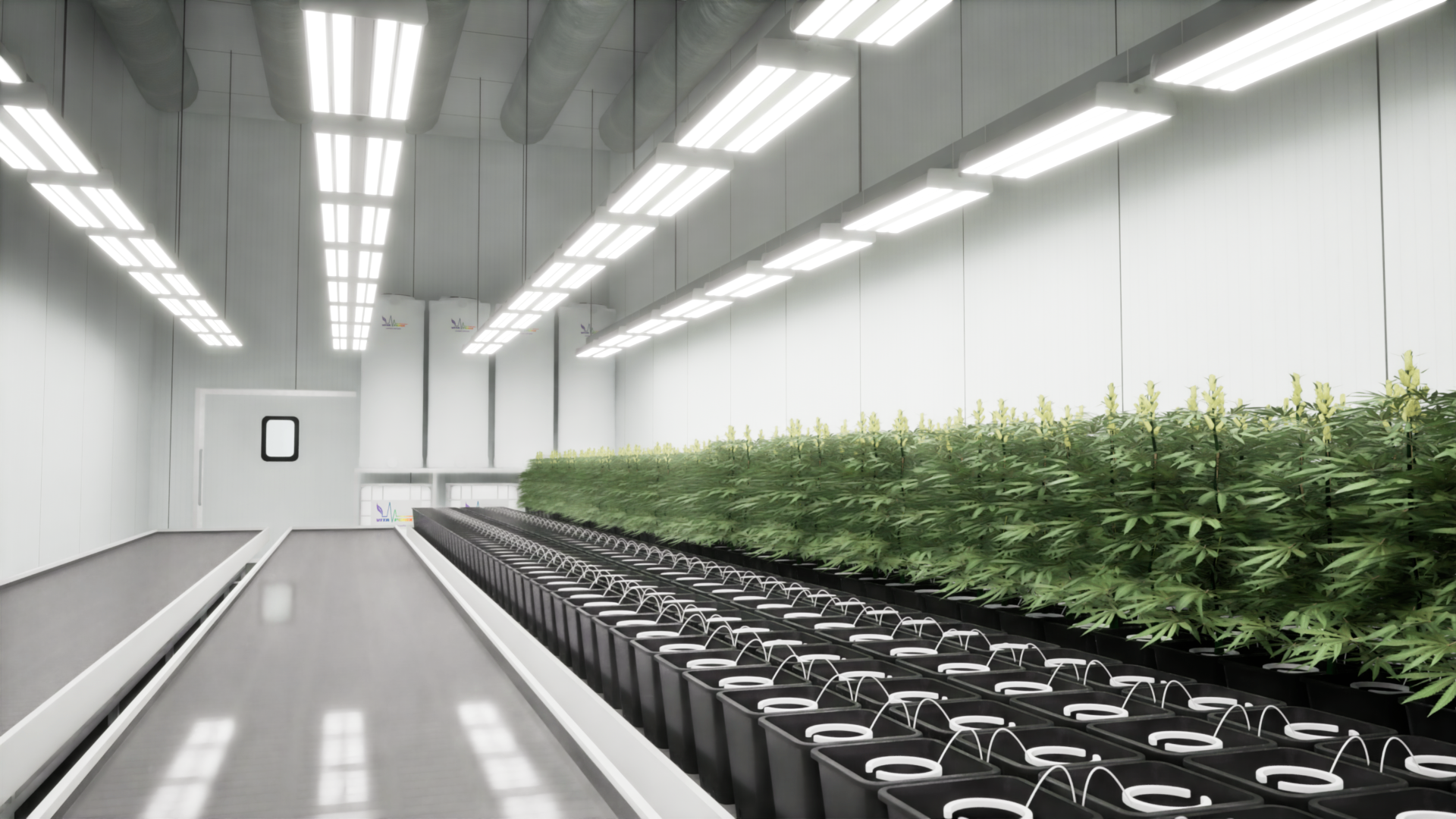 Modern indoor cultivation facility with LED lighting