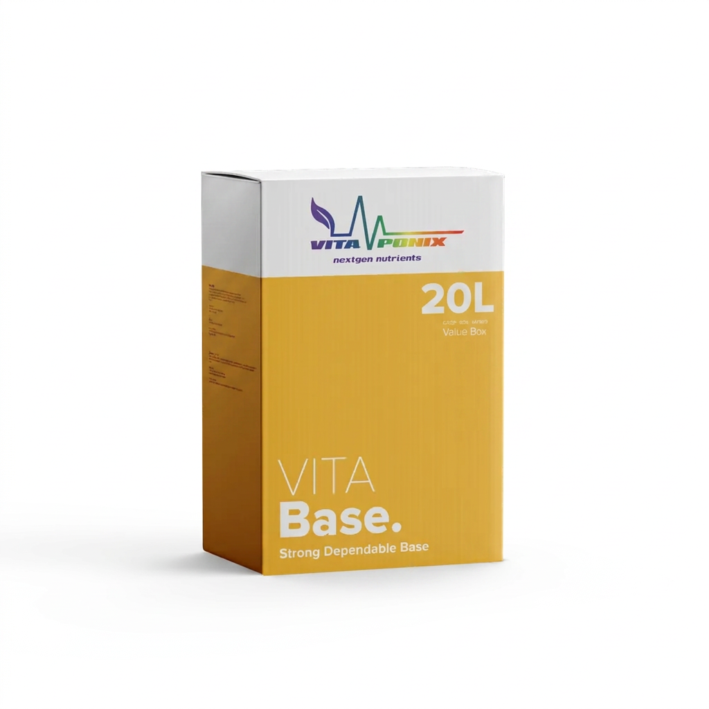 VitaBase