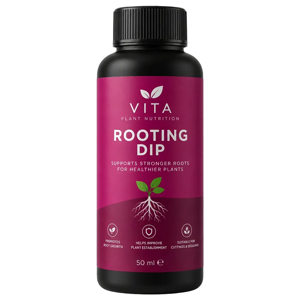 Vita Rooting Dip
