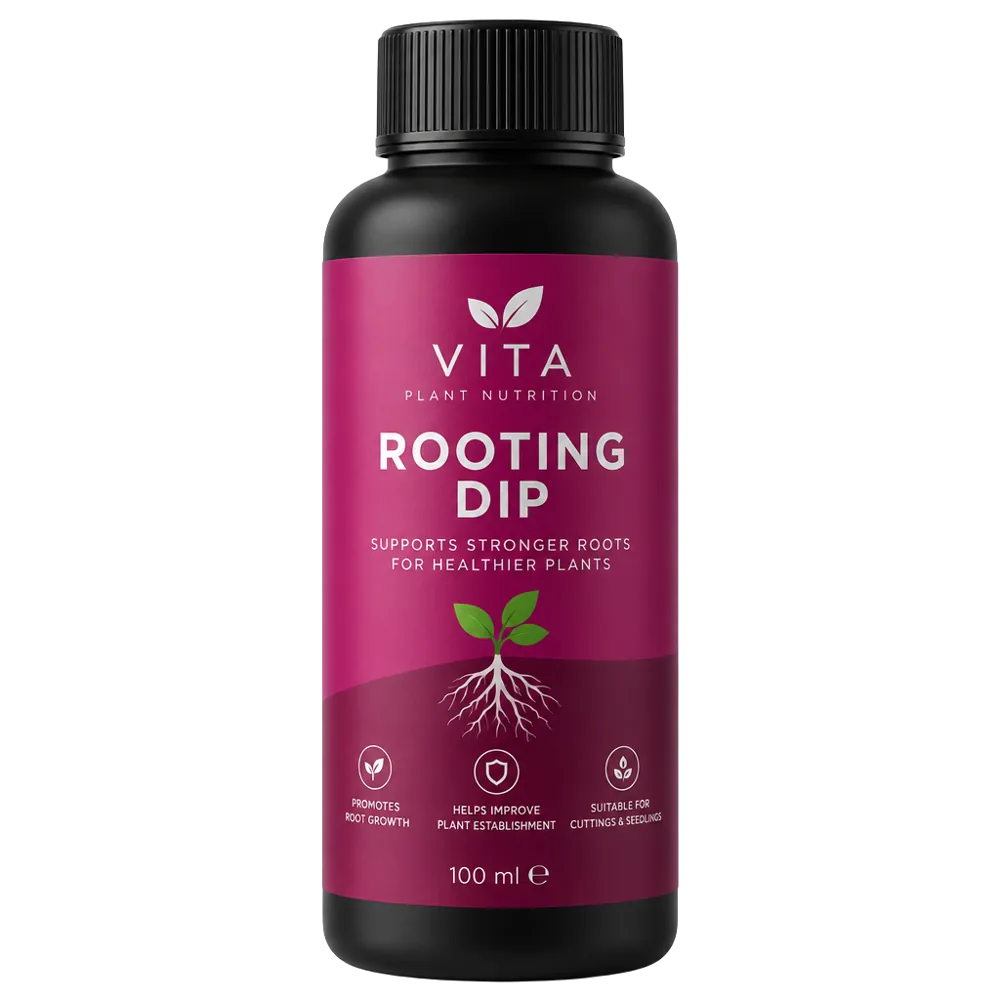 Vita Rooting Dip 1L