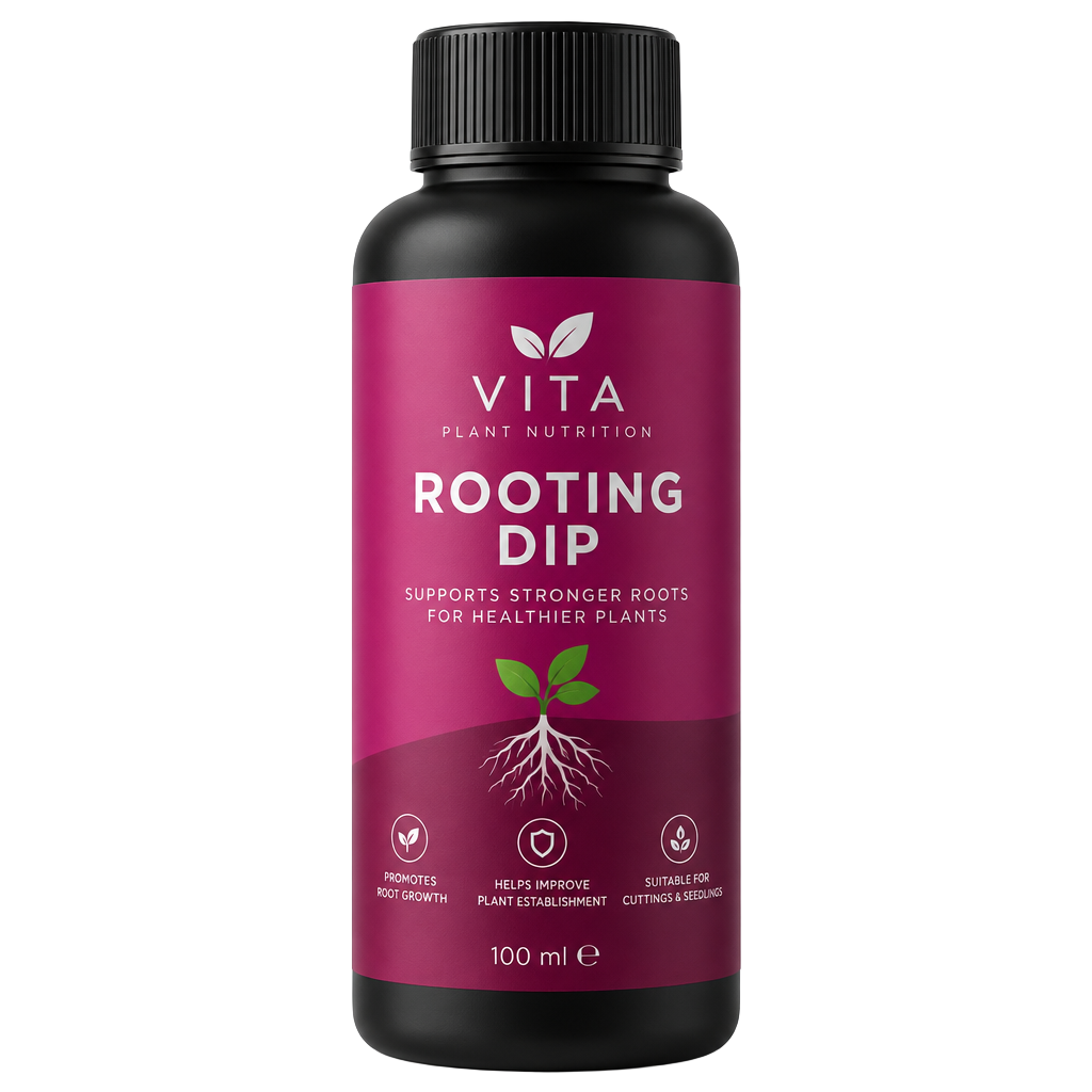Vita Rooting Dip 1L