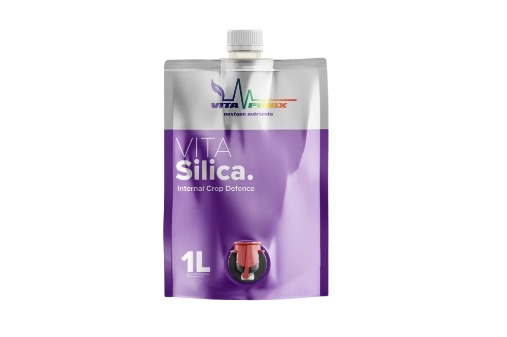 VitaSilica 1L