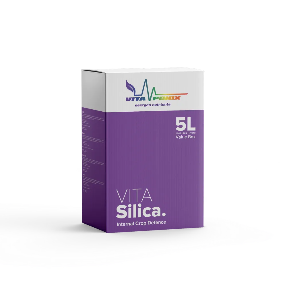 VitaSilica