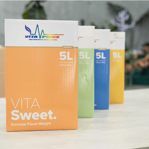 vita-sweet